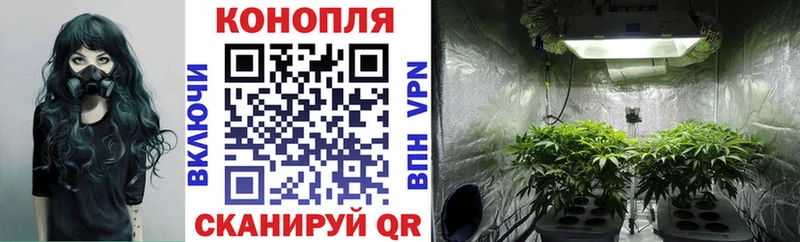 Купить наркотики цена Богданович МЕТАДОН  COCAIN  МЕФ  Канабис 