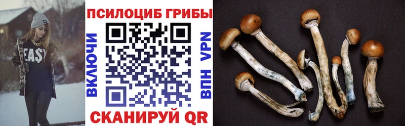 купить наркотик  Богданович  мориарти какой сайт  Галлюциногенные грибы GOLDEN TEACHER  KRAKEN маркетплейс 