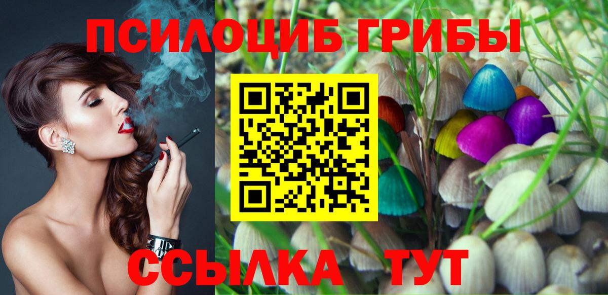Богданович  Галлюциногенные грибы MAGIC MUSHROOMS  Вход с VPN 