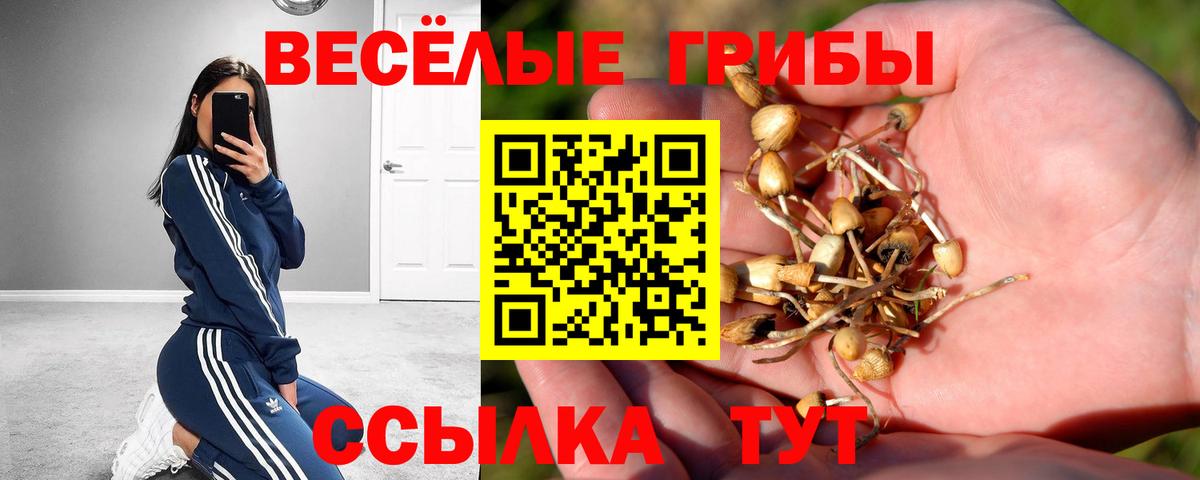 Галлюциногенные грибы Cubensis Богданович